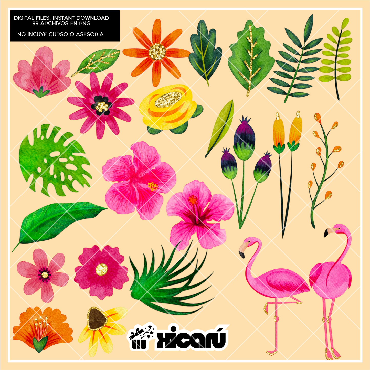 Clipart Watercolor: Graduados