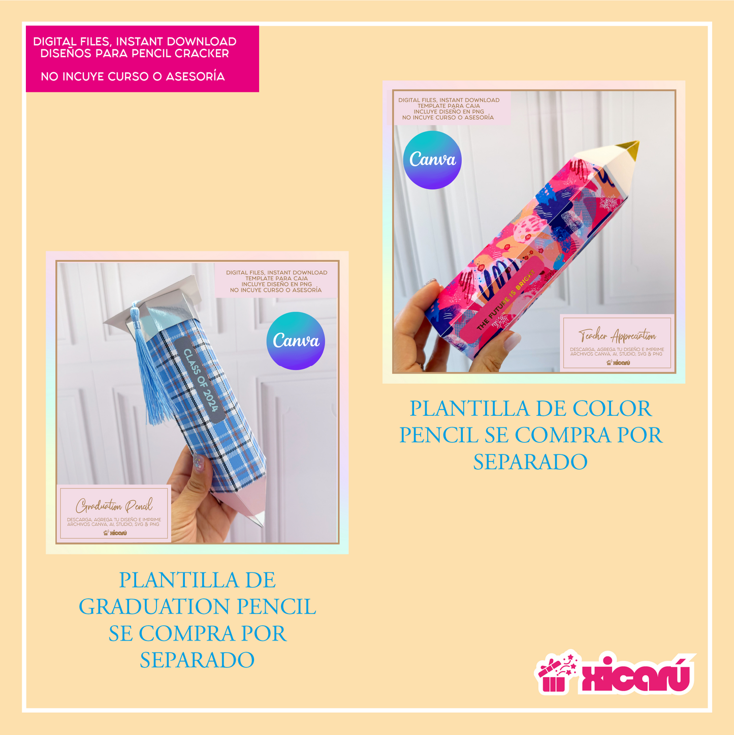 Diseños Color Pencil: Teacher 25