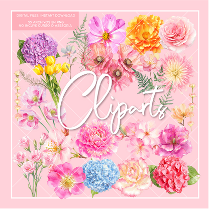 Mother's Day Bundle 2026