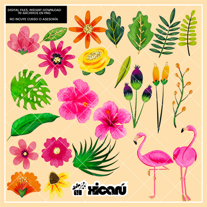 Clipart Watercolor: Graduados